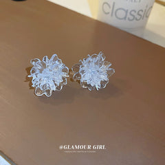 Vintage Oval Tassel Earrings Collection – Light Luxury Court Style